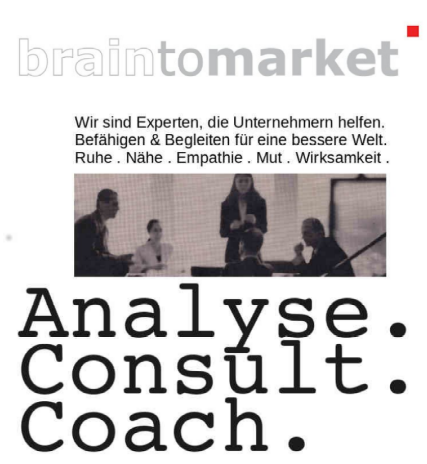 Analyse . Consult. Coach .